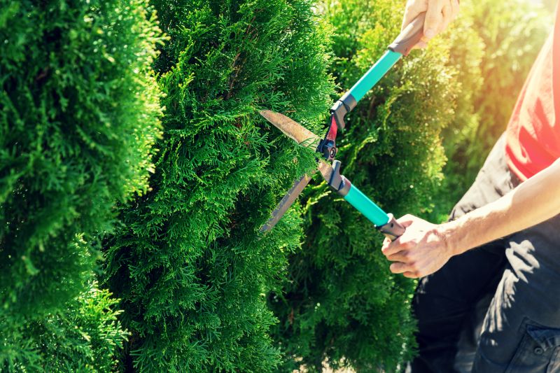 Shrub Pruning in Honolulu, HI
