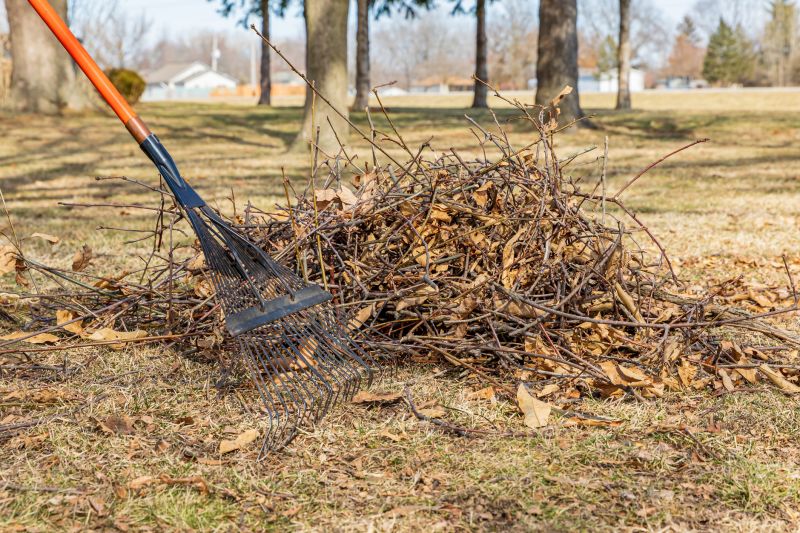 Brush Cleanup Service in Honolulu, HI
