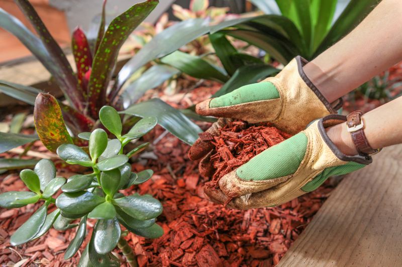 Cypress Mulch Installation in Honolulu, HI