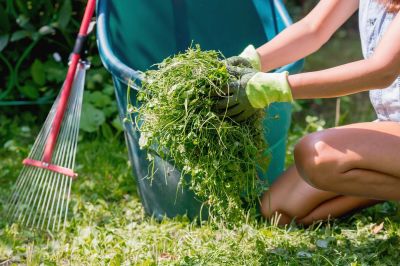 Spring Lawn Cleanup in Honolulu, HI